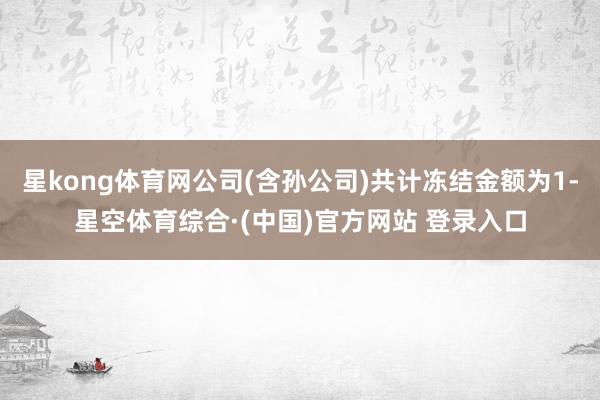 星kong体育网公司(含孙公司)共计冻结金额为1-星空体育综合·(中国)官方网站 登录入口